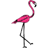 flamingo