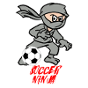 Soccer Ninja