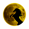 Full moon horse