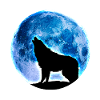 Loup pleine lune