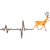 Heartbeat Hirsch farbig - Geschenk