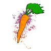Möhren Farbexplosion