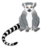 Lemur