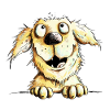 Happy Golden Retriever dog
