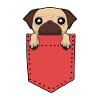Pocket Animal Pug
