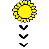 Sunflower Illustration