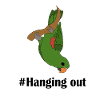 #Hanging Out