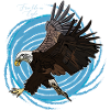 Aigle, Eagle, Free