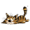 Naughty Little Black Tabby Cat