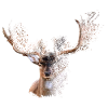 Cerf en bois de cerf