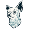 5 Dog