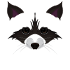 Süßes Waschbär Gesicht