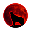 Wolf full moon