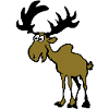 Moose