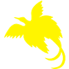 bird of paradise