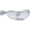seal