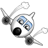 Plane with face