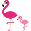 Flamingo mère avec enfant