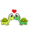 Turtles Turtles Love