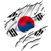 asia flag korea south