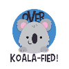 koala 2 white
