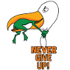never give up