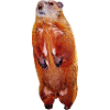 Beaver
