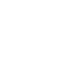 Princess crown