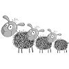 Three wool sheep - sheep cartoon