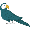 parrot