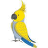 Cacatoès jaune