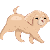 Family Dog Golden Retriever