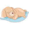 Golden Retriever on Pillows