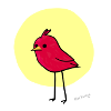 BIRB