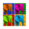 Elefant