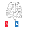 Radiology radiologist gift