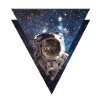 Galaxy Cat Astronaut