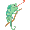 Caméléon vert