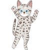Grey Bengal