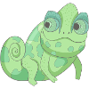 Chaméléon vert