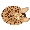 Bengal Hauskatze Katzendame