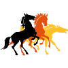 Three horses