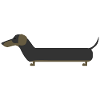 dachshund