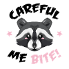 Raccoon - be careful, I bite