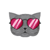 J'aime les chatons