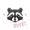Raccoon - be careful, I bite