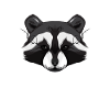 I bite raccoon