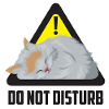Do not disturb cat / cat