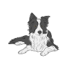 Dog Landseer
