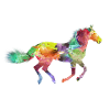 Rainbow horse